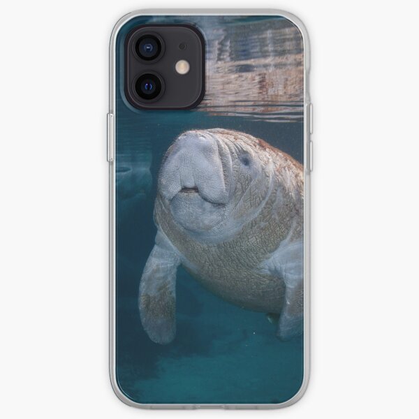Divine Baby iPhone Soft Case