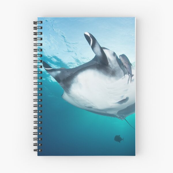 Item preview, Giant manta ray in the blue designed and sold by Natalia Pryanishnikova.