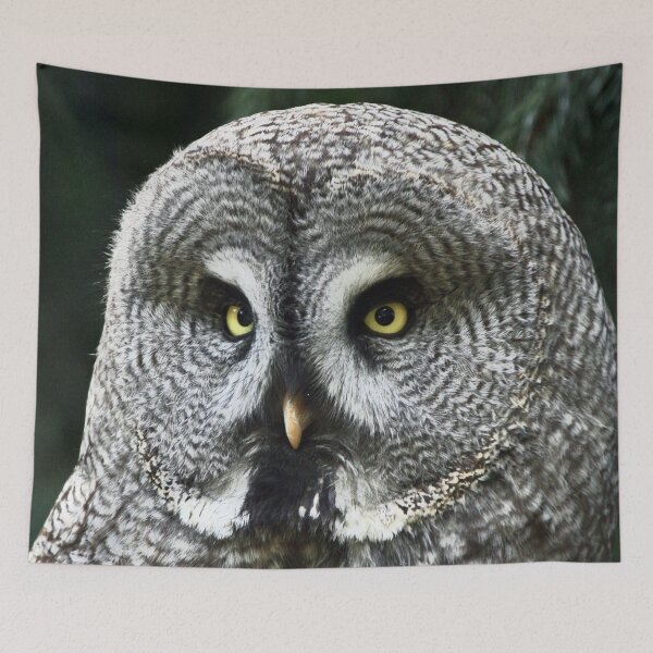 Item preview, Owl 001 designed and sold by JAMFoto.