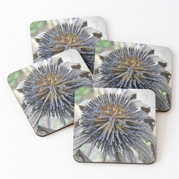 Item preview, Echinacea Demise designed and sold by Ladydi.
