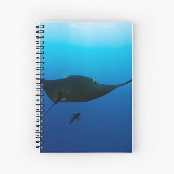 Vista previa del artículo con la obra «Manta raya negra gigante en el azul», diseñado y vendido por Natalia Pryanishnikova.