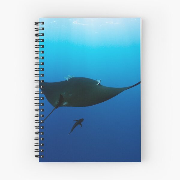Item preview, Giant black manta ray in the blue designed and sold by Natalia Pryanishnikova.