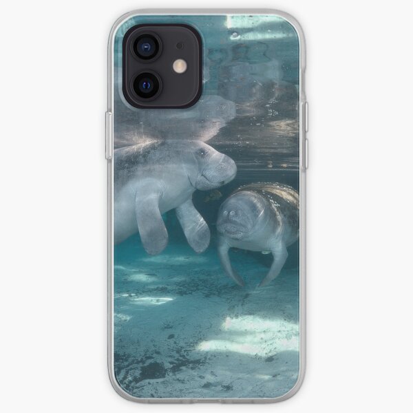 Company iPhone Soft Case