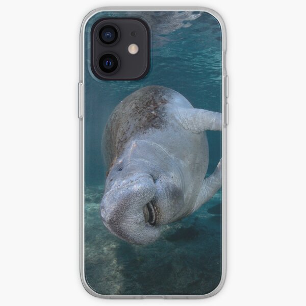 Let's Play iPhone Soft Case