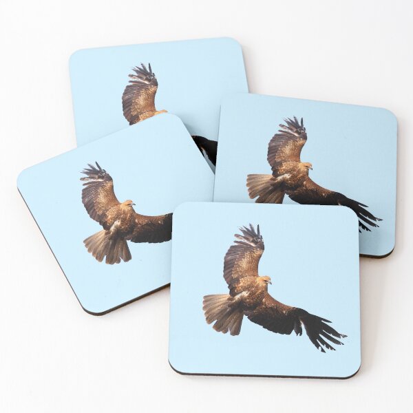 Item preview, Whistling Kite tee designed and sold by TVD-Photography.