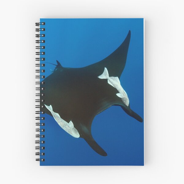 Item preview, Giant manta ray in the blue designed and sold by Natalia Pryanishnikova.