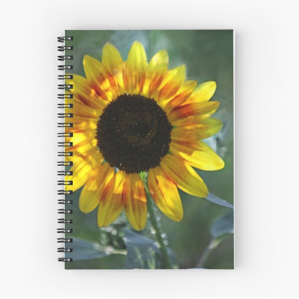 Item preview, Light and Shadow designed and sold by Eileen McVey.