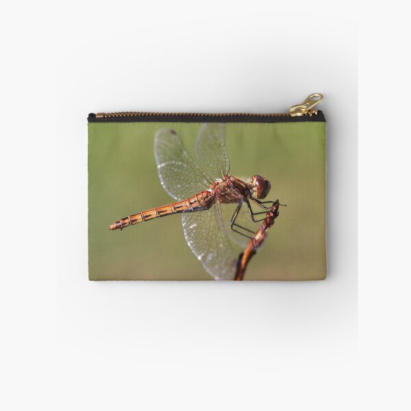 Item preview, Vagrant Darter designed and sold by cuprum.
