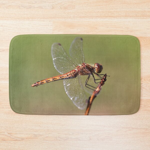Item preview, Vagrant Darter designed and sold by cuprum.