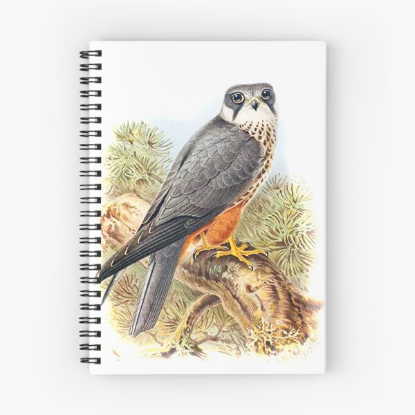 Item preview, Falcon Image Vintage designed and sold by Vintage Designs +.