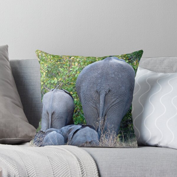 Item preview, Elephant Roadblock designed and sold by Michael Moss Photography.