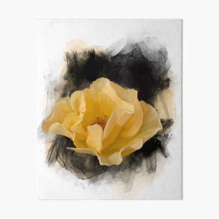 Yellow Rose Art Board Print