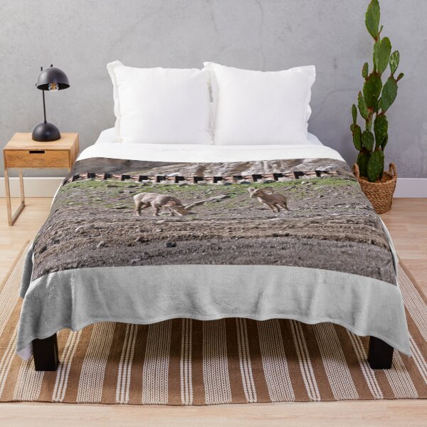 Item preview, Big Horn Sheep At Wolf Creek Pass Colorado designed and sold by jtrommer.