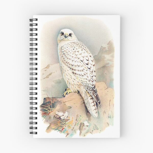 Item preview, Greenland Gyrfalcon Vintage designed and sold by Vintage Designs +.