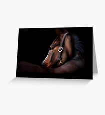 Paulo Greeting Card