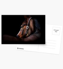 Paulo Postcards