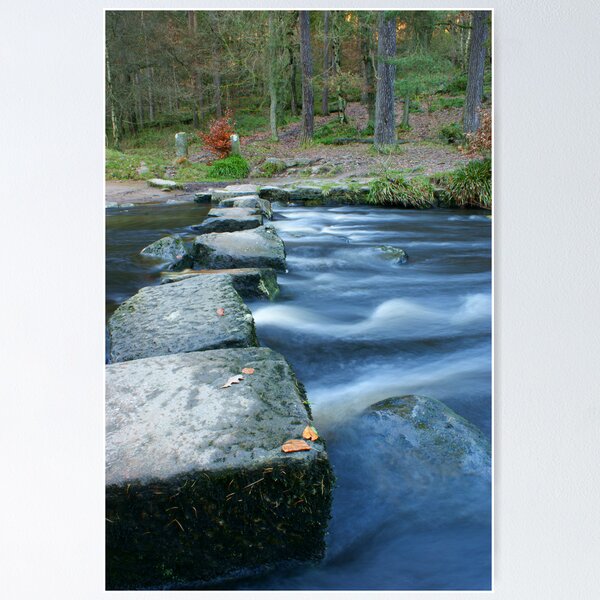 Item preview, Stepping stones 003 designed and sold by Andy Beattie.