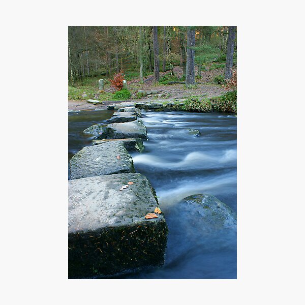 Item preview, Stepping stones 003 designed and sold by Andy Beattie.