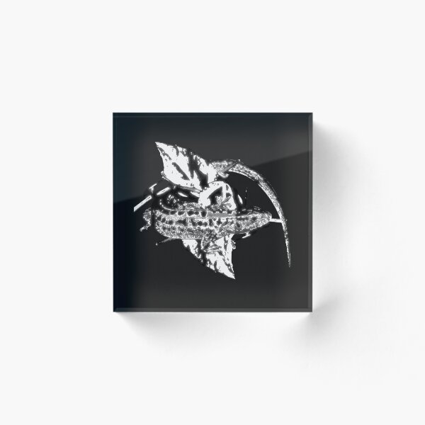 Item preview, Gecko lizard infrared designed and sold by Gartenfreund.