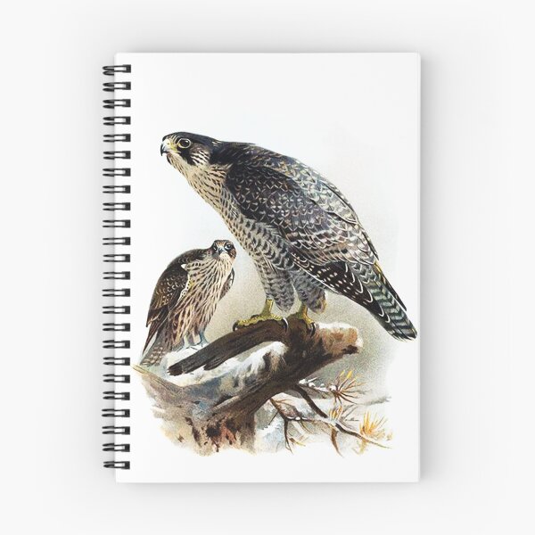 Item preview, Gyrfalcon Vintage designed and sold by Vintage Designs +.