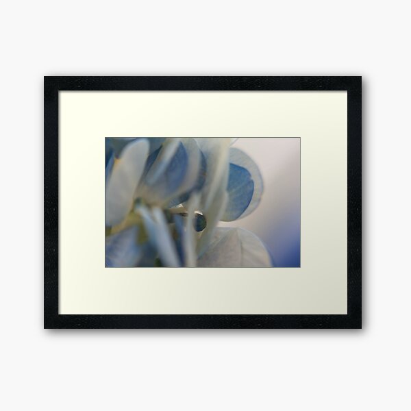 Tiny Petals Framed Art Print