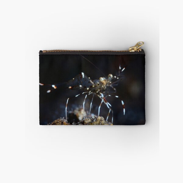 Item preview, Transparency designed and sold by Natalia Pryanishnikova.