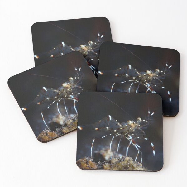 Item preview, Transparency designed and sold by Natalia Pryanishnikova.