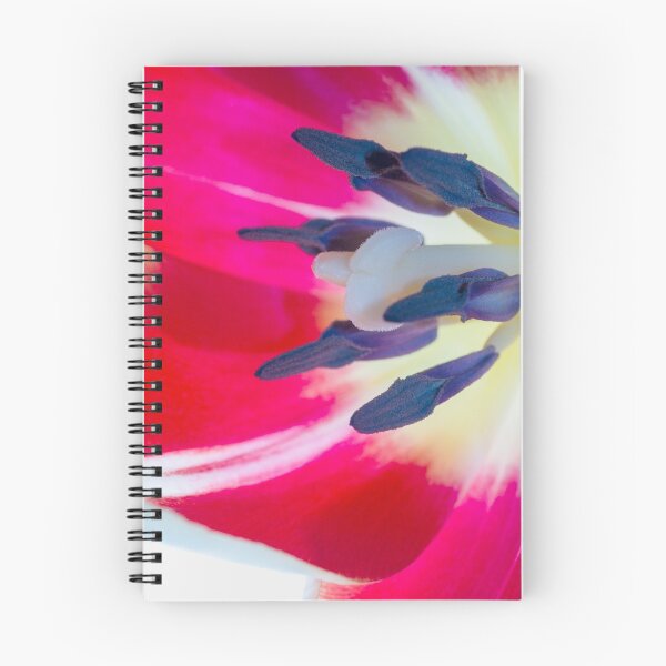 Item preview, Tulip Anthers designed and sold by DIANE  FIFIELD.