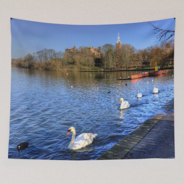 Item preview, Swans glide past designed and sold by tomg.