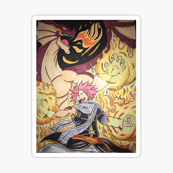 Dragon Fairy Tail Natsu Dragneel Igneel Poster Metal Tin Sign Wall Decor  Signs,Retro Art Decor Metal Plaque Art 8x12 Inch