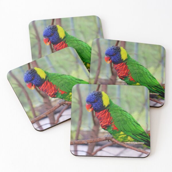 Item preview, Lorikeet Sings designed and sold by Cynthia48.