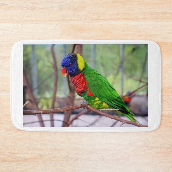 Item preview, Lorikeet Sings designed and sold by Cynthia48.