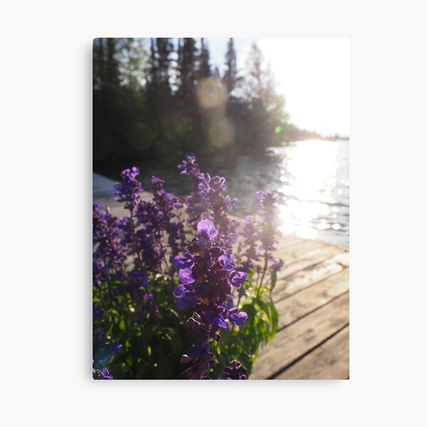 Aperçu de l'œuvre Photographie de fleurs violettes créée et vendue par annikat31.