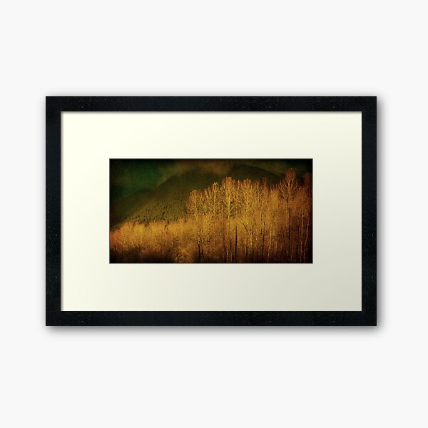 November Framed Art Print