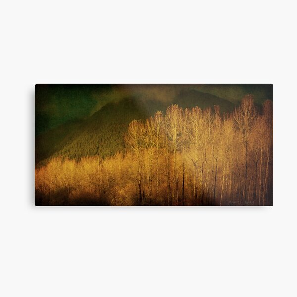 November Metal Print