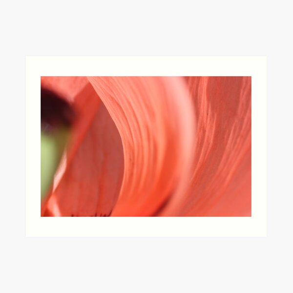inside the poppy's heart! Art Print