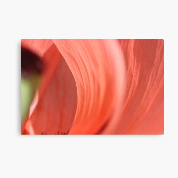 inside the poppy's heart! Canvas Print