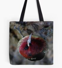 Red-Breasted-Sapsucker Tote Bag