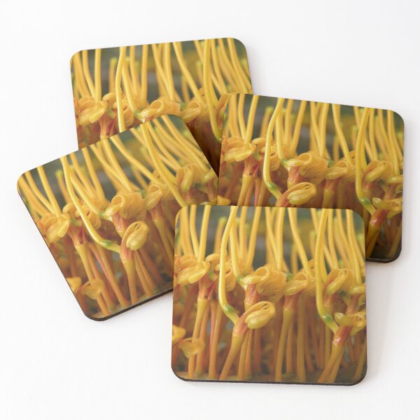 Item preview, Soldiers on Parade. designed and sold by Trish Meyer.