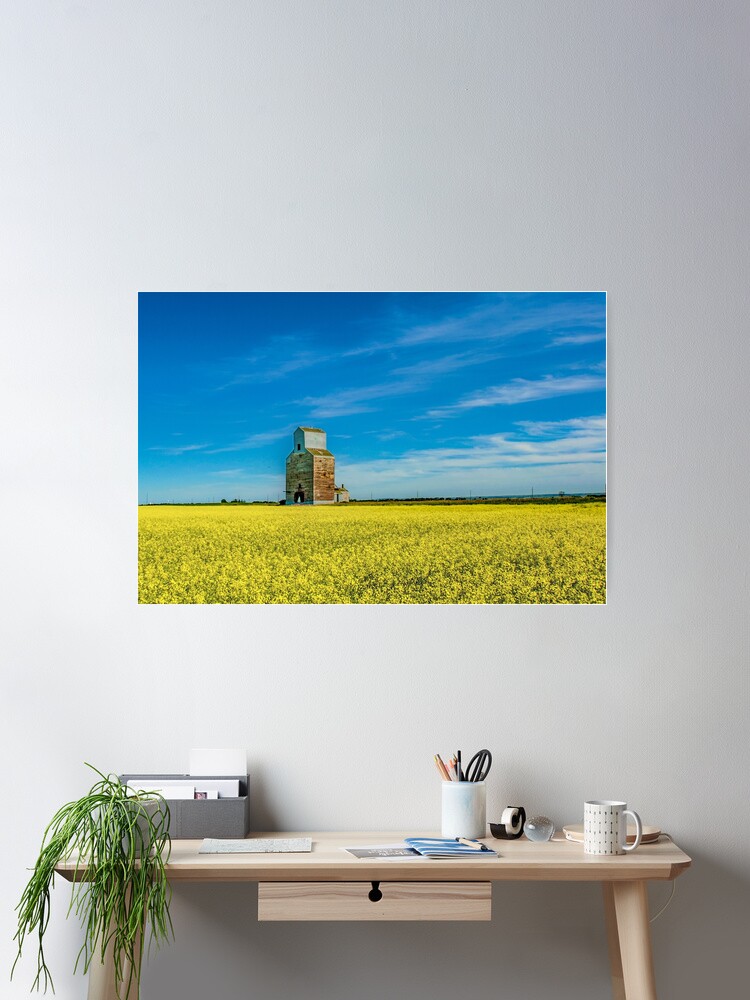 Thumbnail 2 of 3, Poster, Rival Elevator with Canola Fields designed and sold by jwwalter.