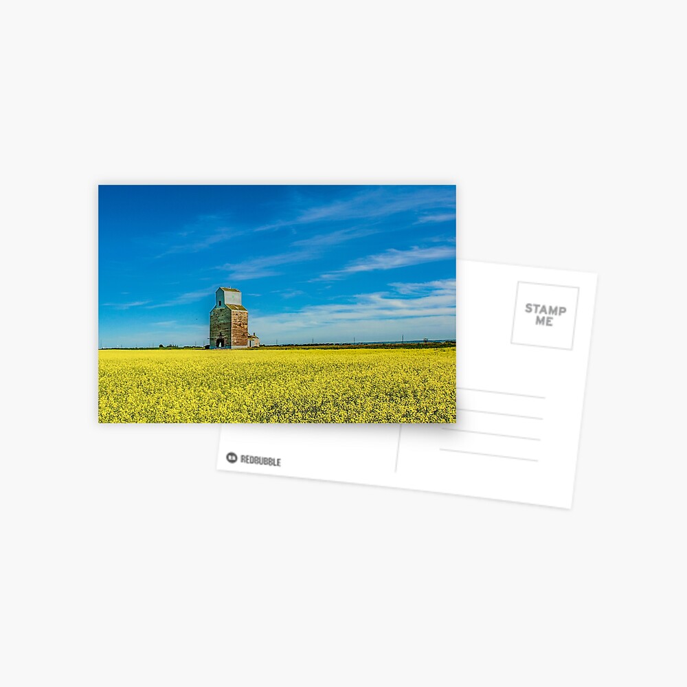 Item preview, Postcard designed and sold by jwwalter.
