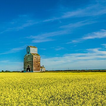 Artwork thumbnail, Rival Elevator with Canola Fields by jwwalter