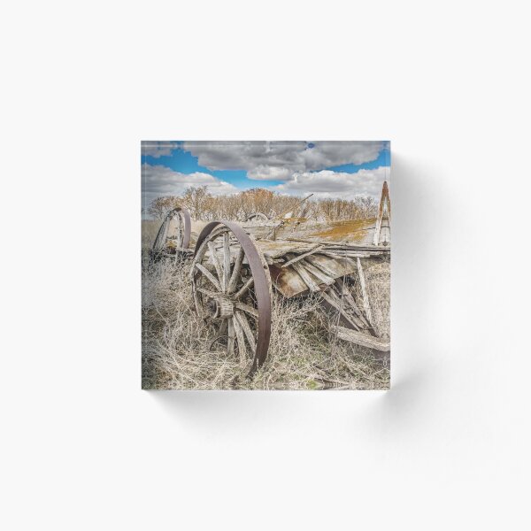 Just Some Old Wagon Rotting Away Acrylic Block