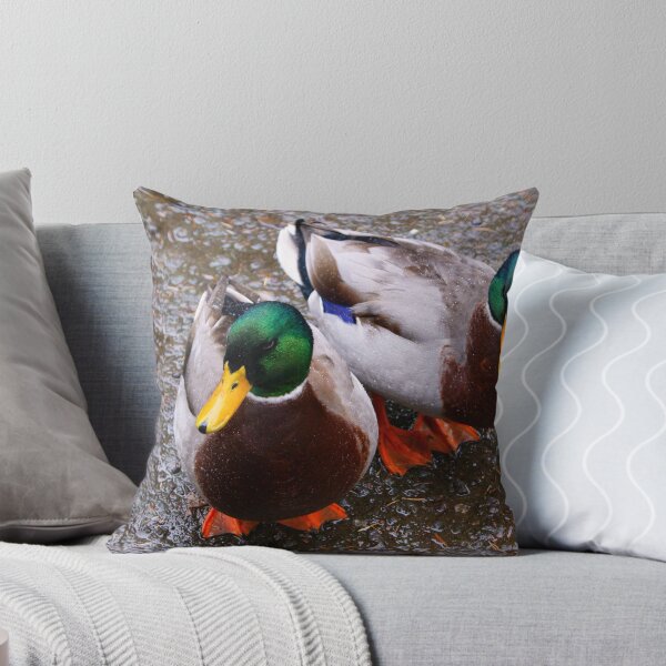 Item preview, Like Water Off A Ducks Back.....!!!! designed and sold by brimel55.