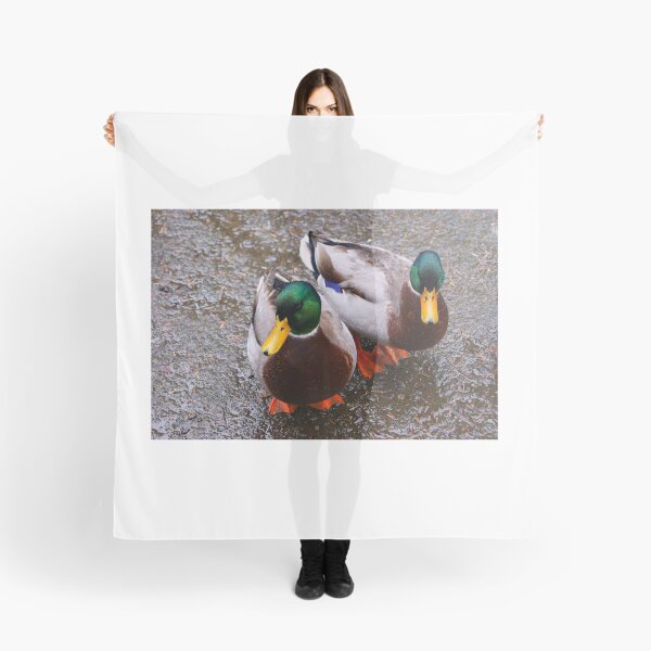 Item preview, Like Water Off A Ducks Back.....!!!! designed and sold by brimel55.