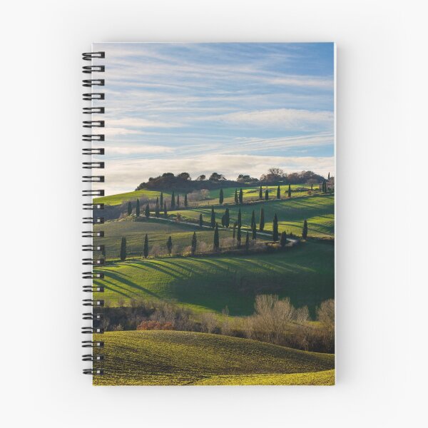 Item preview, Serpentine Path, La Foce, Tuscany, Italy designed and sold by AndrewJonesFoto.