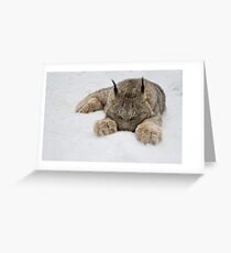 Lynx in Snow Greeting Card