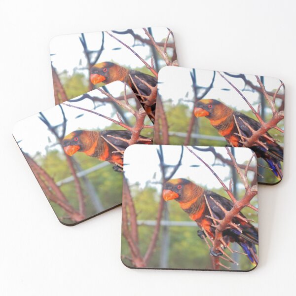 Item preview, Dusky Lory designed and sold by Cynthia48.