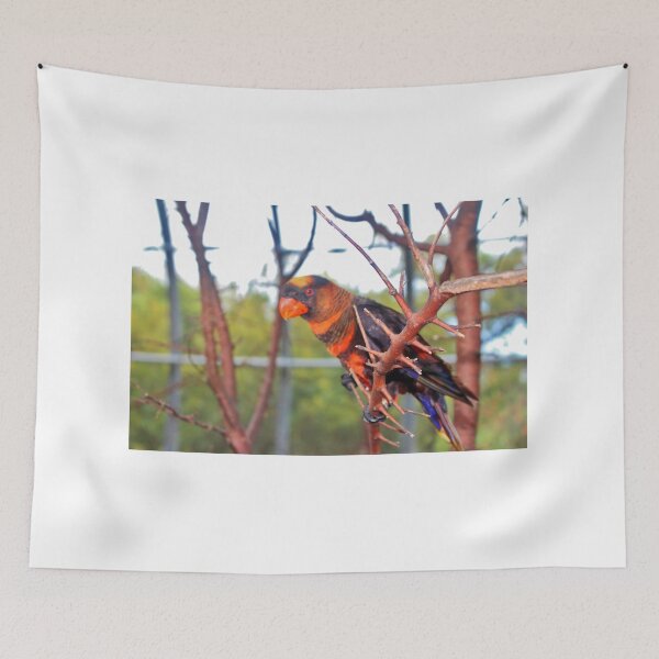 Item preview, Dusky Lory designed and sold by Cynthia48.