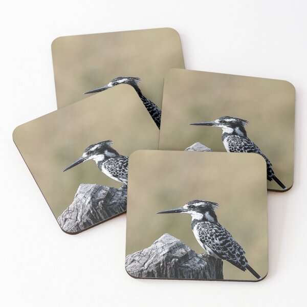 Item preview, Pied Kingfisher designed and sold by Marylou Badeaux.